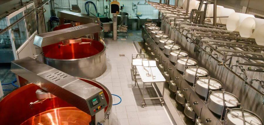 Precision Fermentation: The Future of Food Innovation and Sustainability